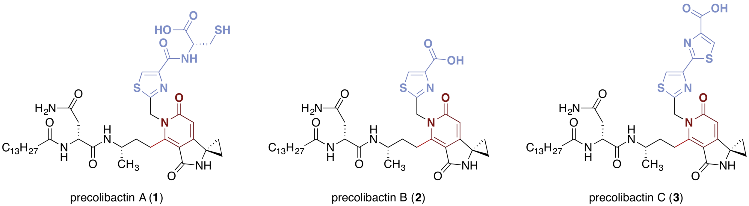 Fig. 1. Structures of precolibactins A–C ( 1 – 3 ).
