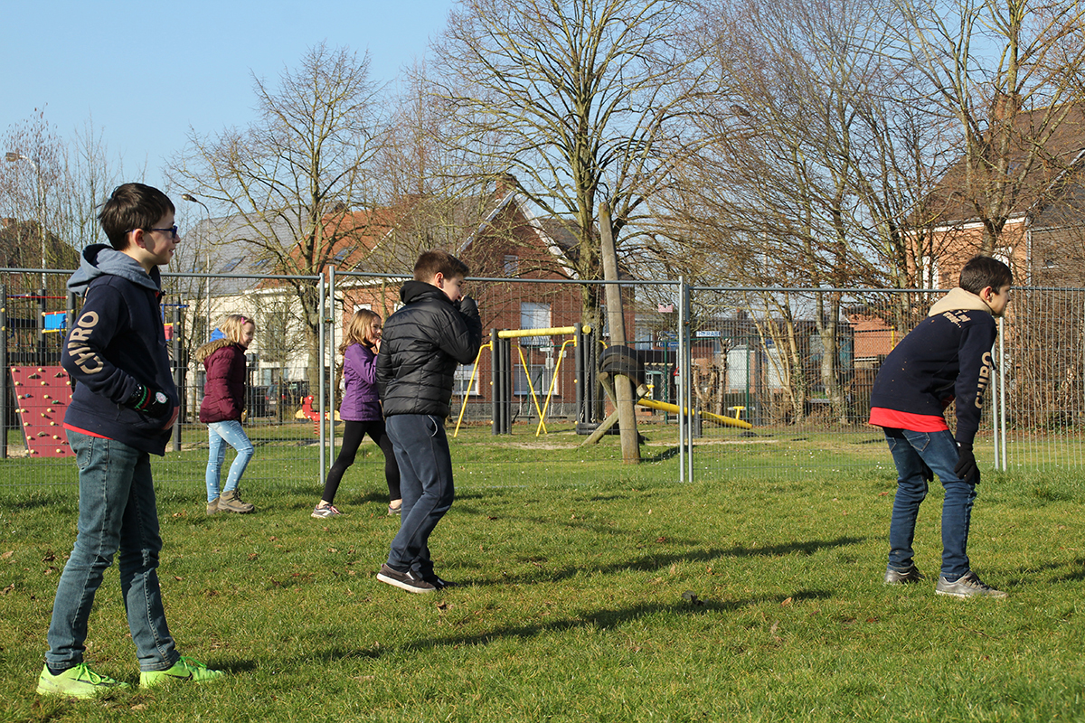 Activiteit
