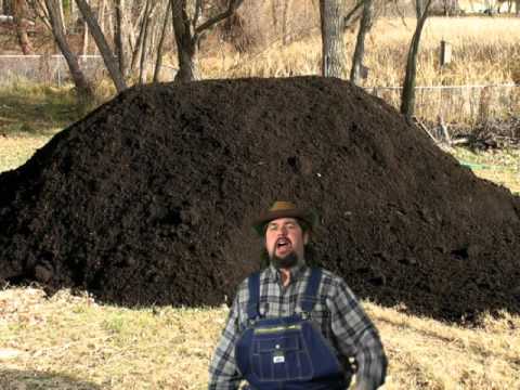 Crazy Eddie's House O' Dirt