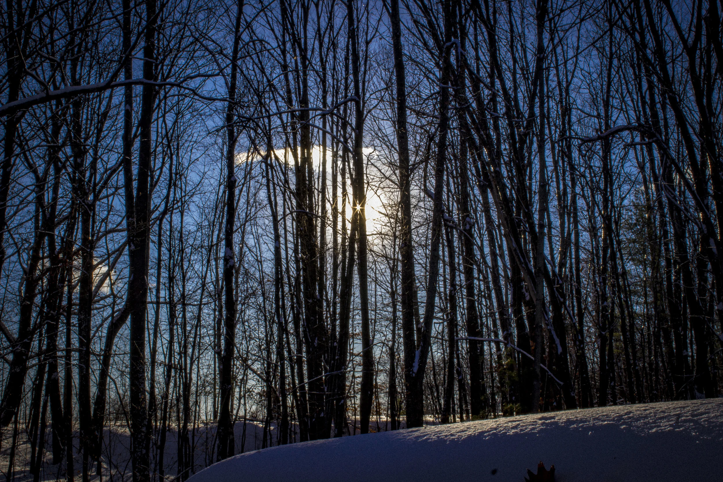 Sunspot 3.jpg