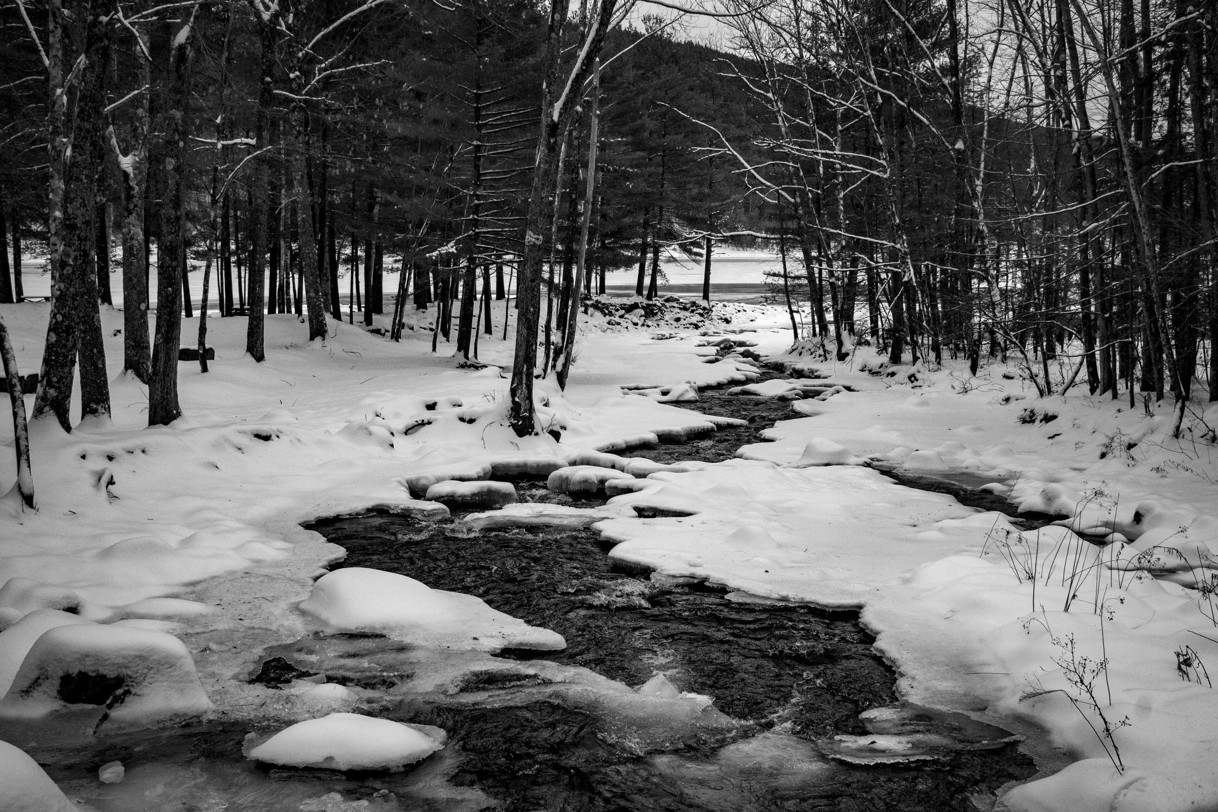 b&w nuber2.jpg