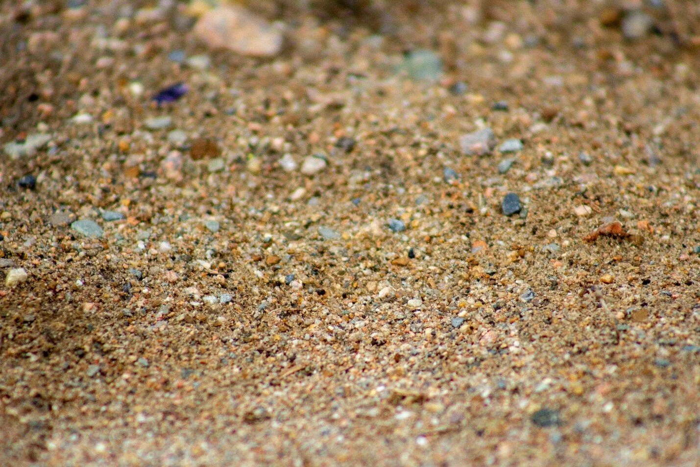 A grain of sand might make a pearl, but it can also cause a gem of a problem for your reel.