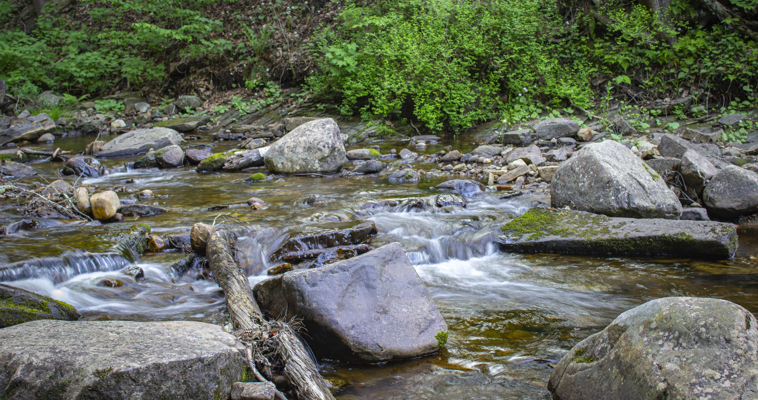 Surrounded by nature, man vs fish, let the battle begin!