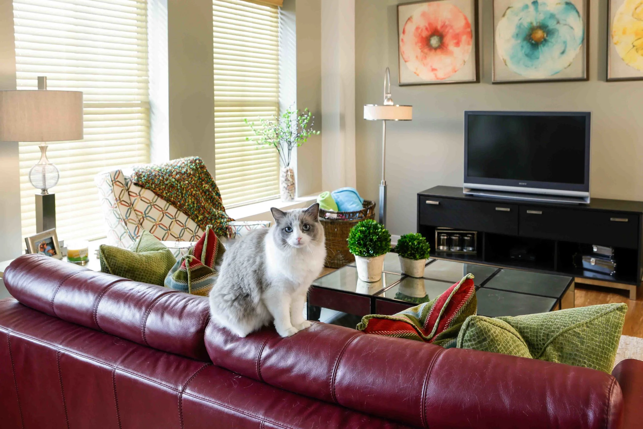 Loft Apartments Macon GA