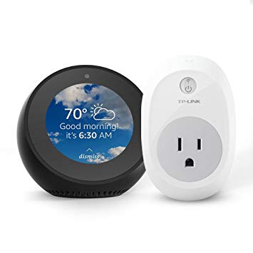 Spot and plug.jpg