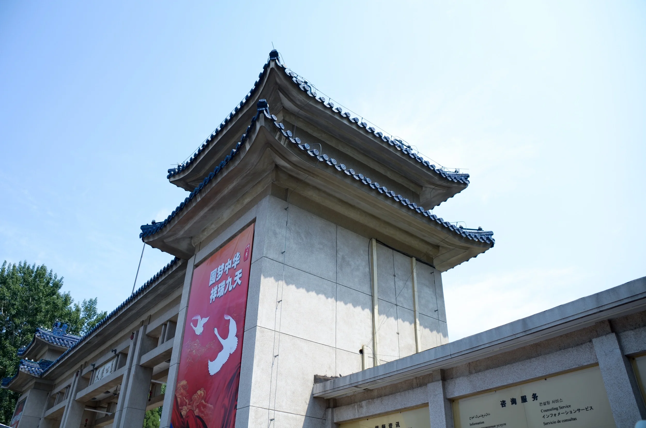 DSC_9623.jpg