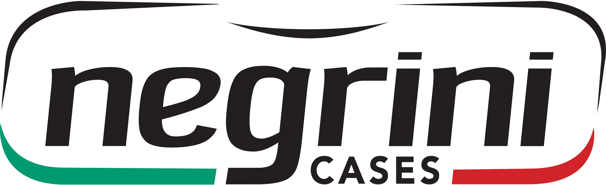 Negrini_Cases_PNG.png