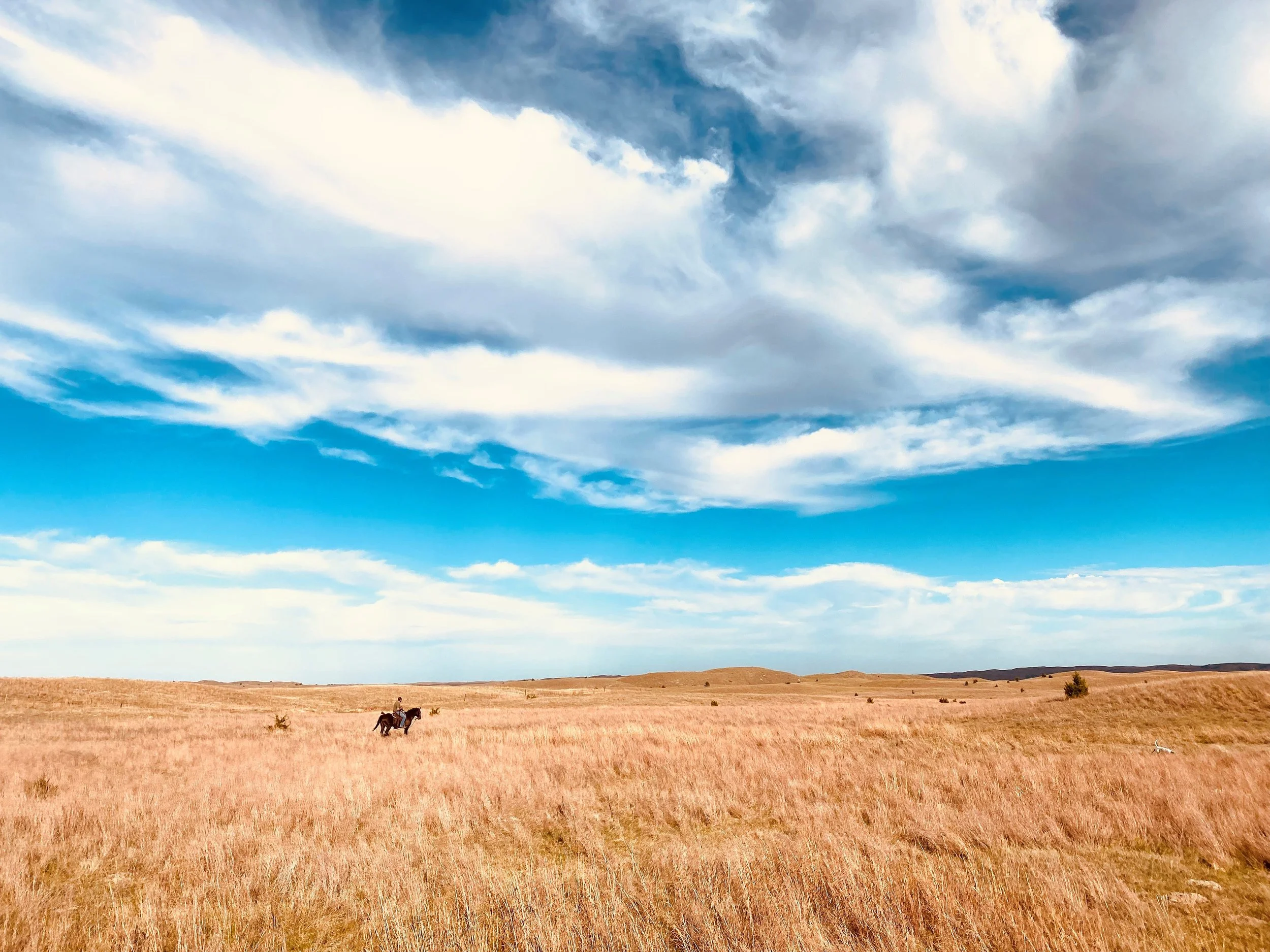 Sandhills 4.jpg