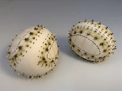 Porcelain pods in DECOR