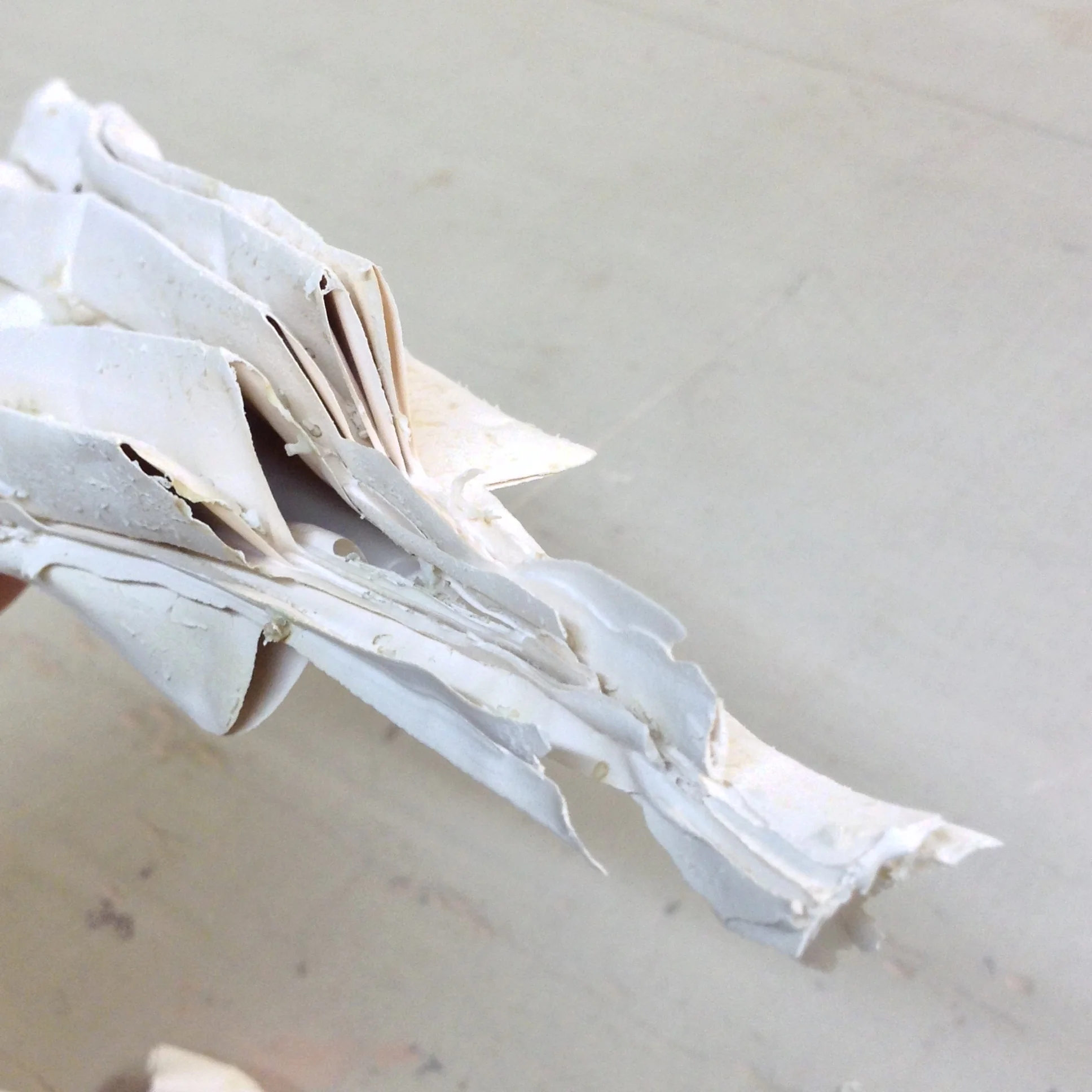 Detail of the very thin and beautiful membranes of clay that appeared as the clay drained out of the paper form.