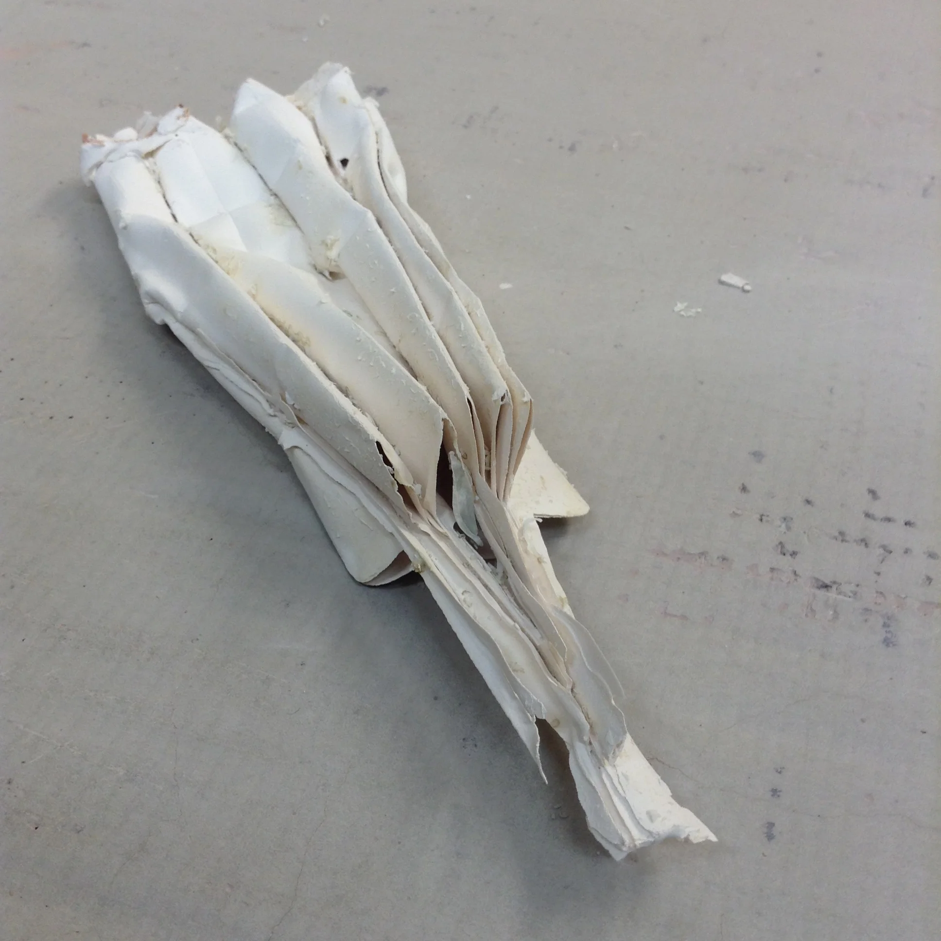 The entire shape. Look at the tiny bits of clay that flowed along the sides of the large pleats, seen to the left in the picture.