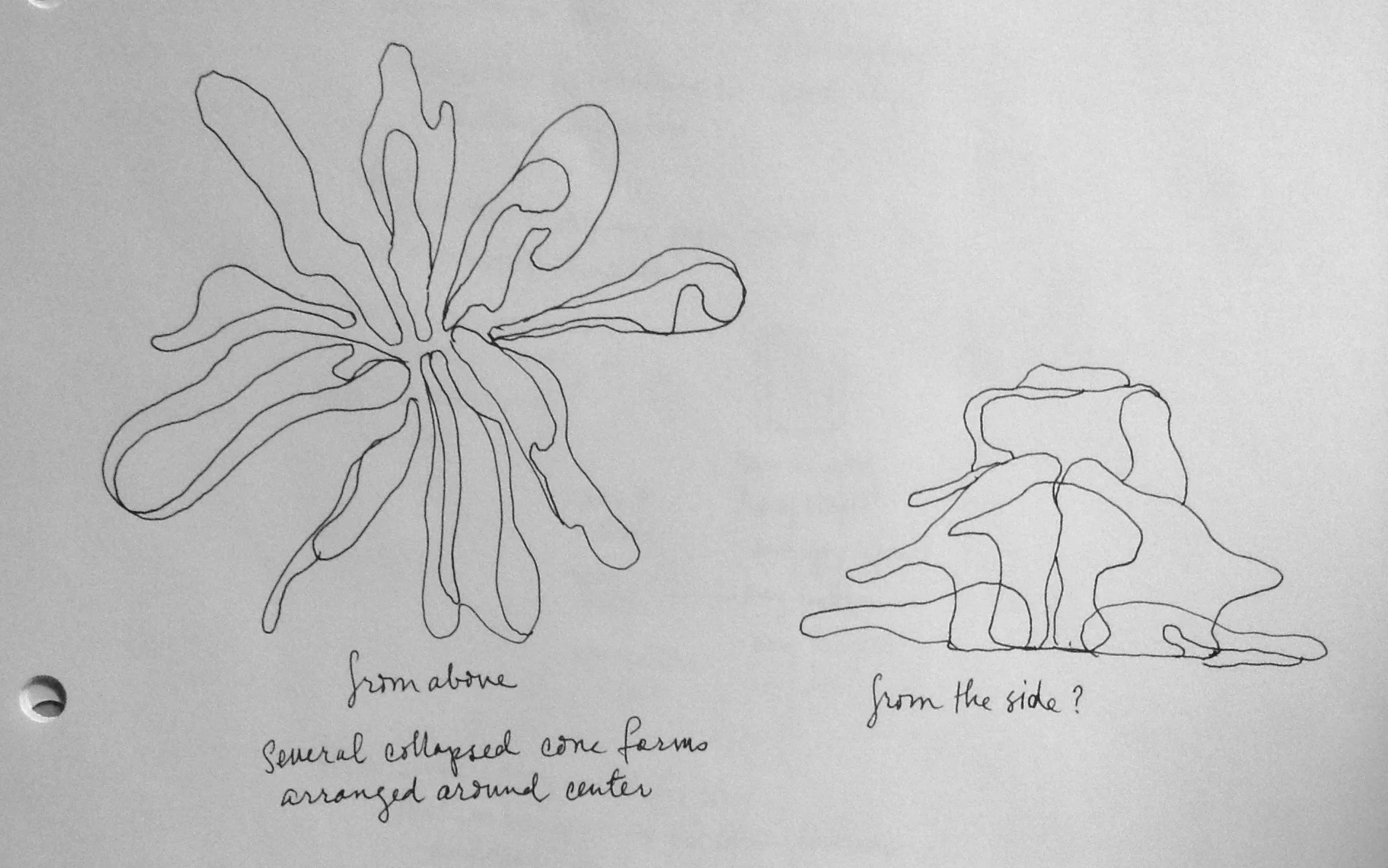 Drawing of sculptural application using several slip forms made in the manner discussed. Coral reef? Flower? Surely, nothing that was man-made.
