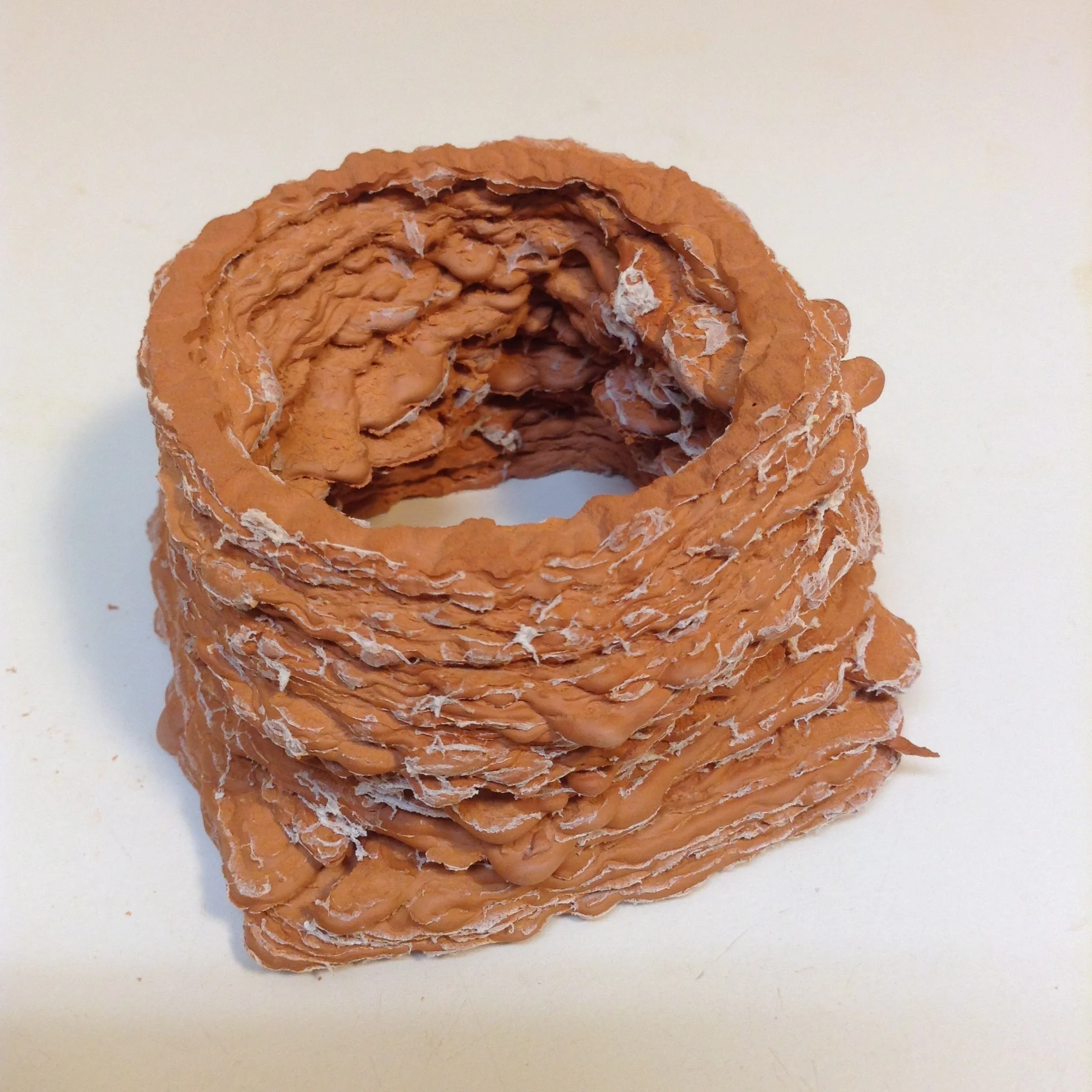 Red earthenware clay after final firing to cone 05. The clay slip used in its most runny form flows freely, is probe to dripping outwards from edges of paper, and squashes flatter with even the slightest pressure from above. Circle form out of the kiln. White shreds is all that's left of napkin paper.