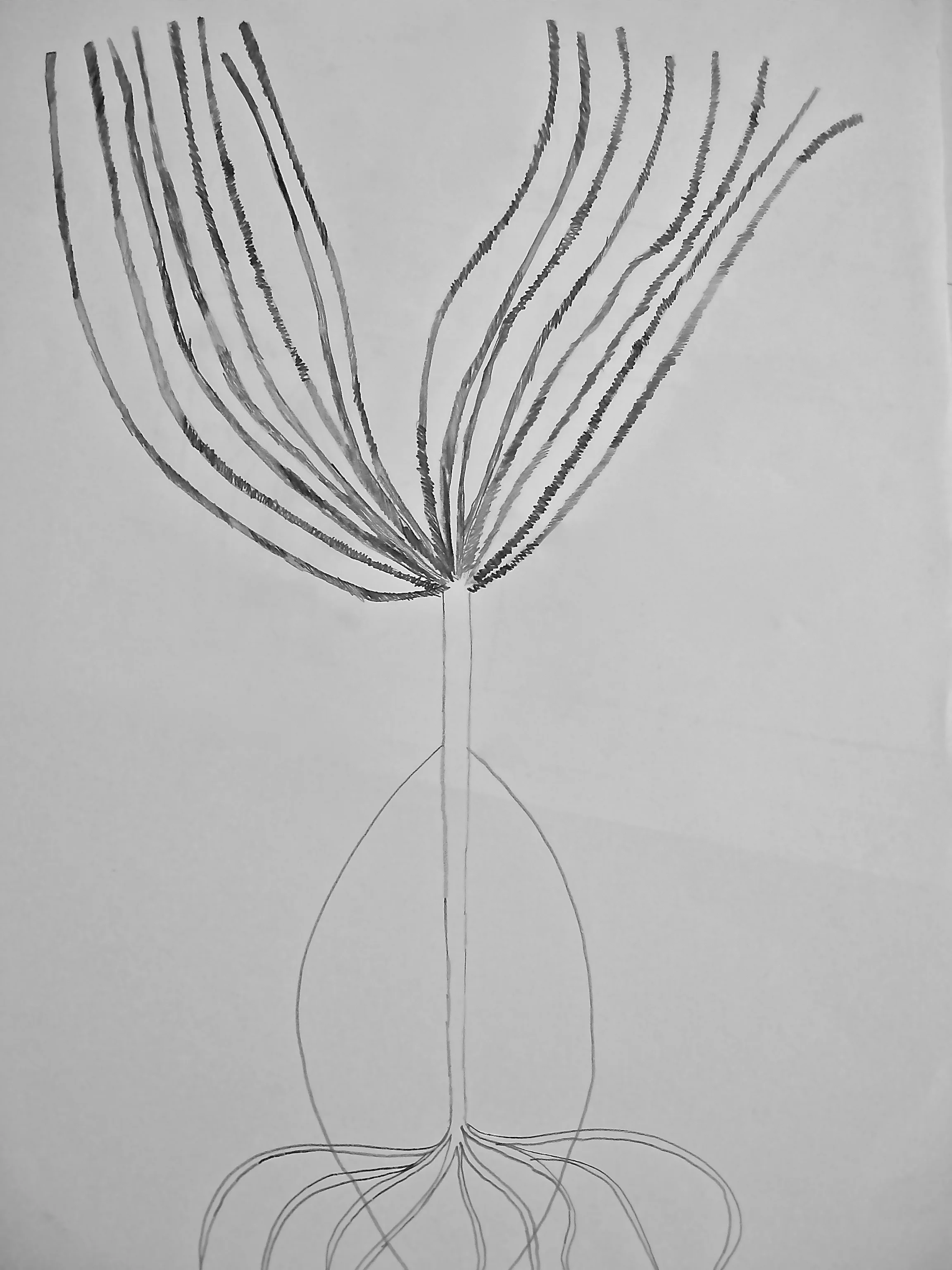 IMG_0116 - Version 2.jpg