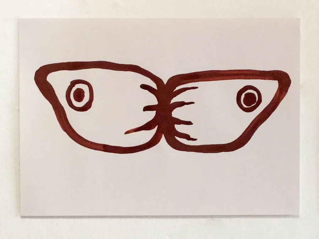 DRAWINGS BUTTERFLY.jpg