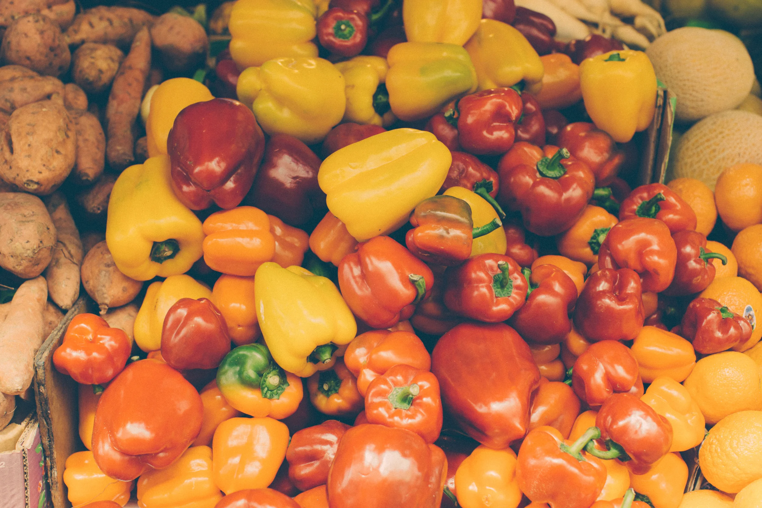 Plant Life Approved: An Oil-Free, Vegan Southwestern Dish