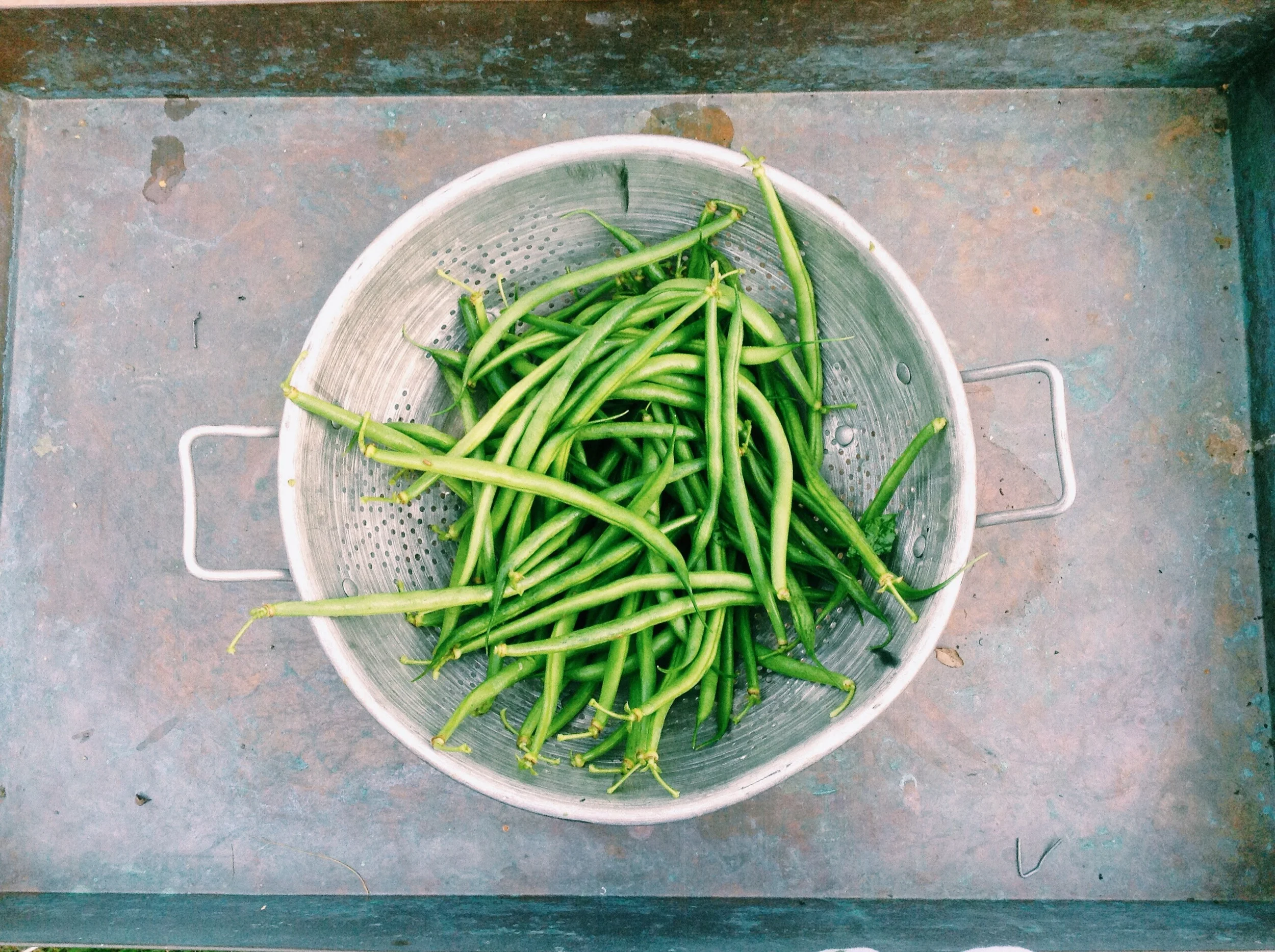 Plant Life Approved: Potato & Green Bean Curry