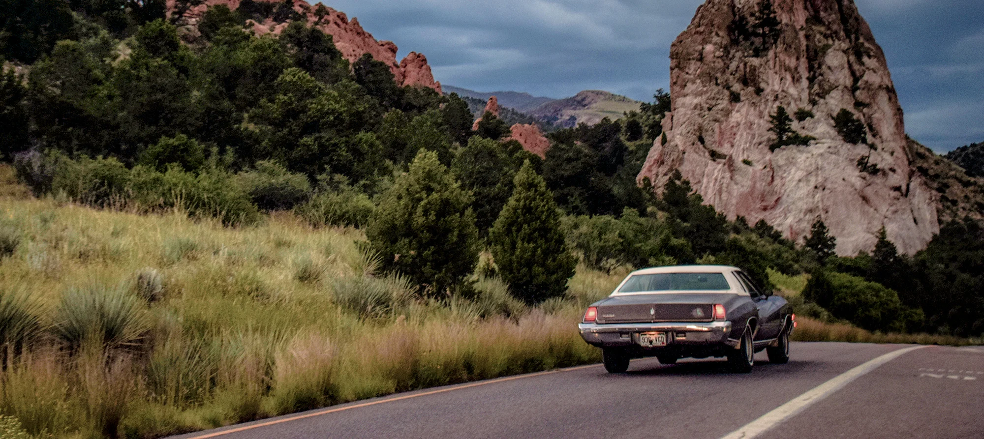 Plant-Based Road Trips 101