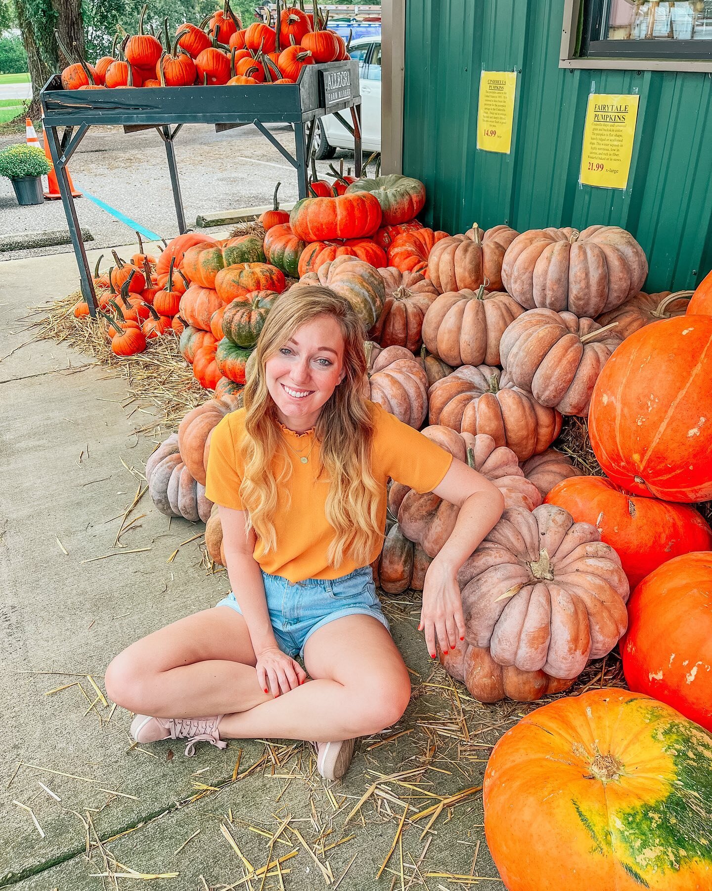 just trying to blend in 🤷🏼&zwj;♀️🎃 went and grabbed a bunch of pumpkins this morning.. i think i love the fairytale ones the best and i always have to stop myself from buying every single one! 😂 are you team classic orange pumpkin or do you like 
