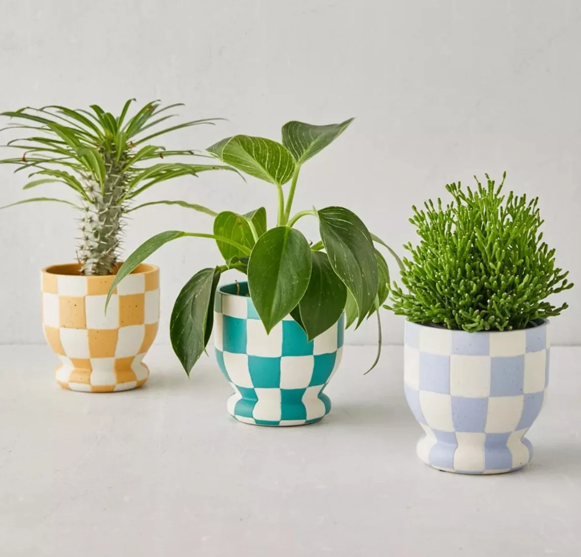 TREND ALERT: CHECKERBOARD