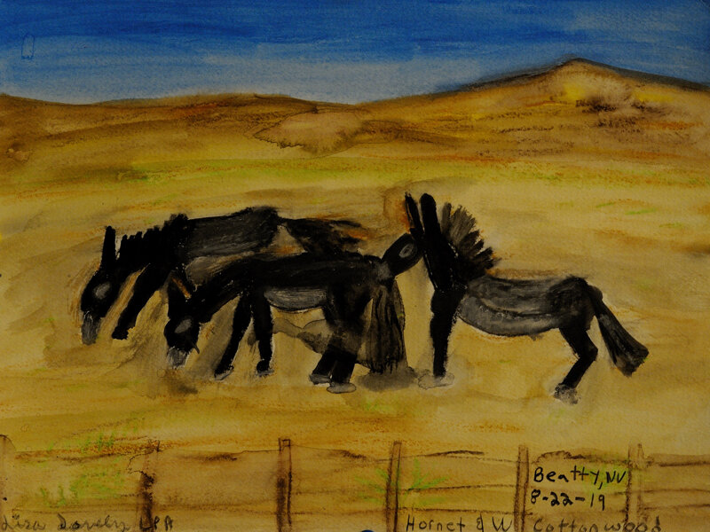 Burros at Beatty Nevada August 2019 ; Water Color ( 9X12 inches ). 