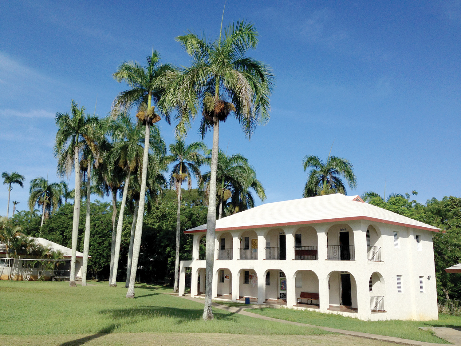 The school we are building in Los Castillos will be of the same design as our high school facility in Mulata.