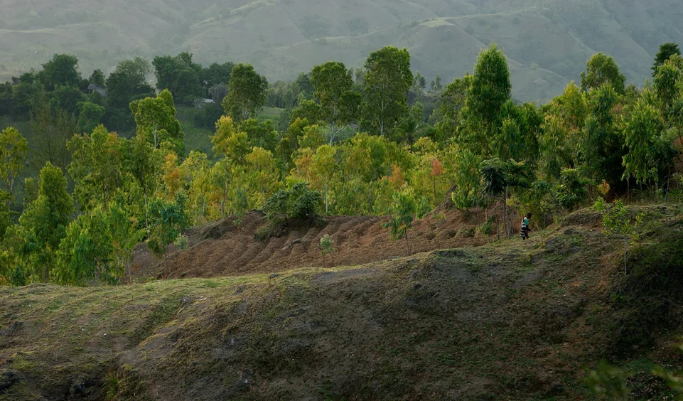 Loving the Unlovable