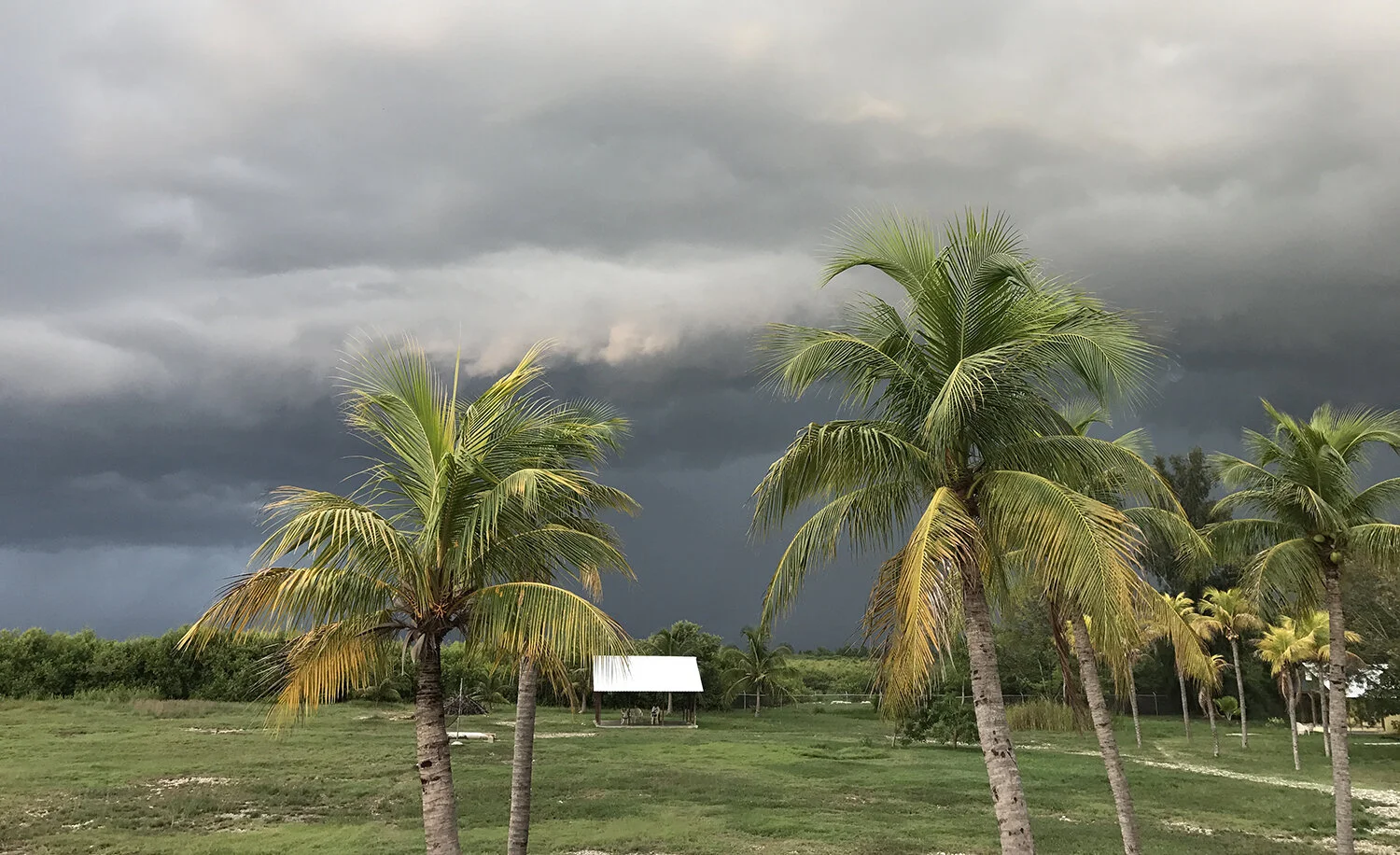 Praise You in this Storm