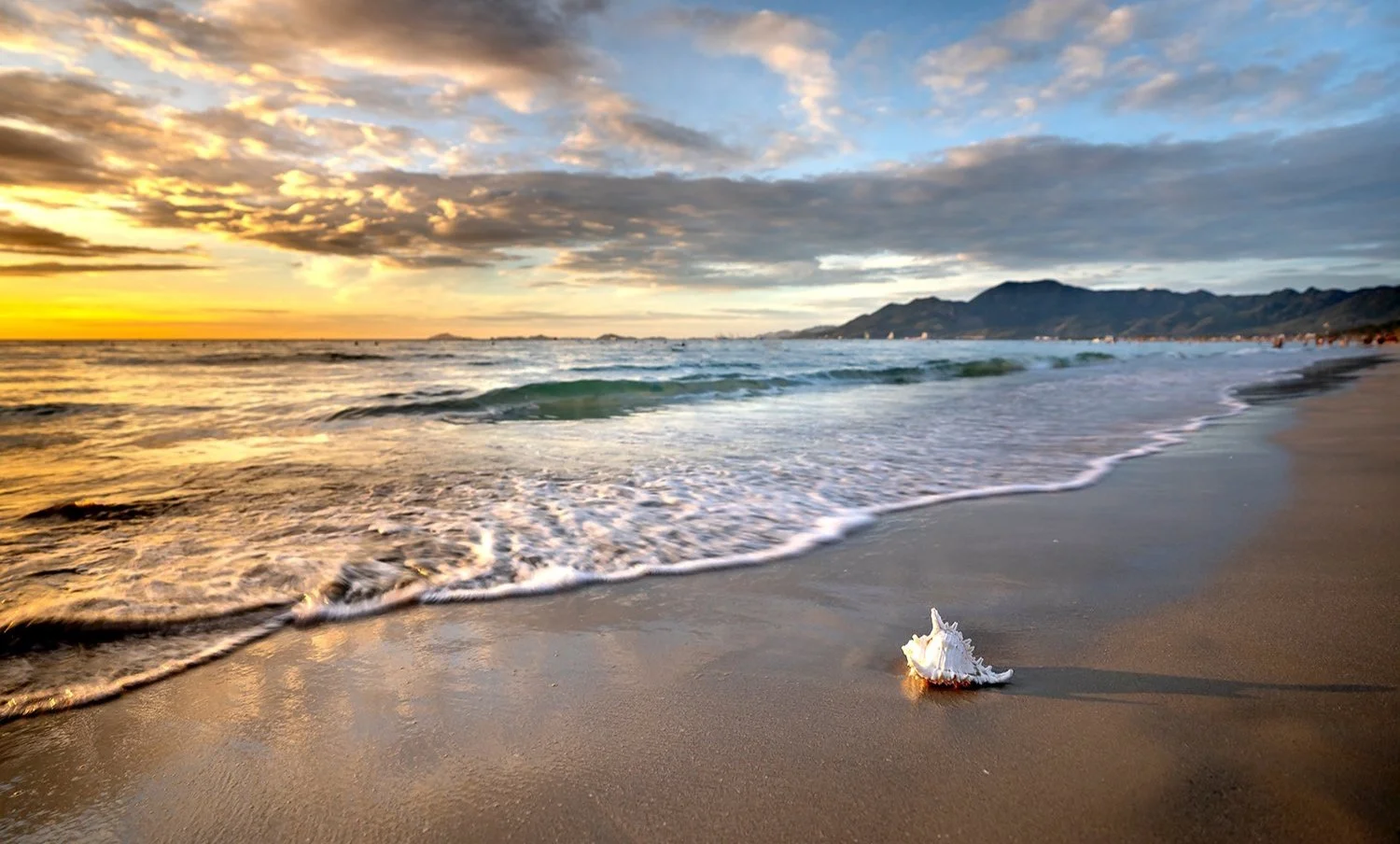Seeking After a Great Pearl