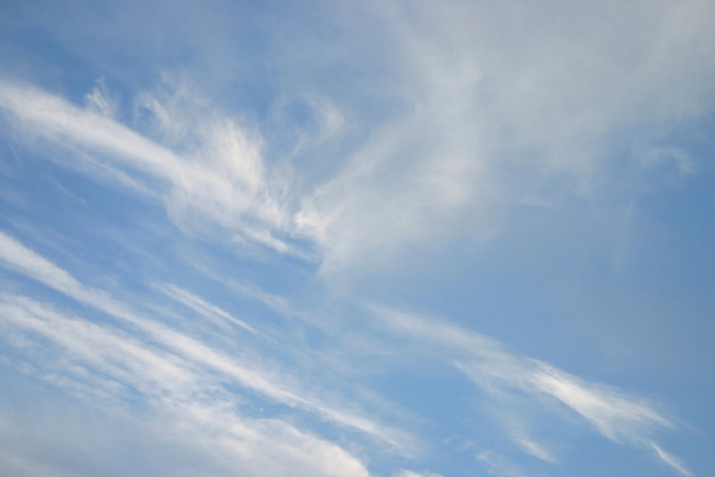 What Did My Daughter's Wedding Teach Me About Christmas?