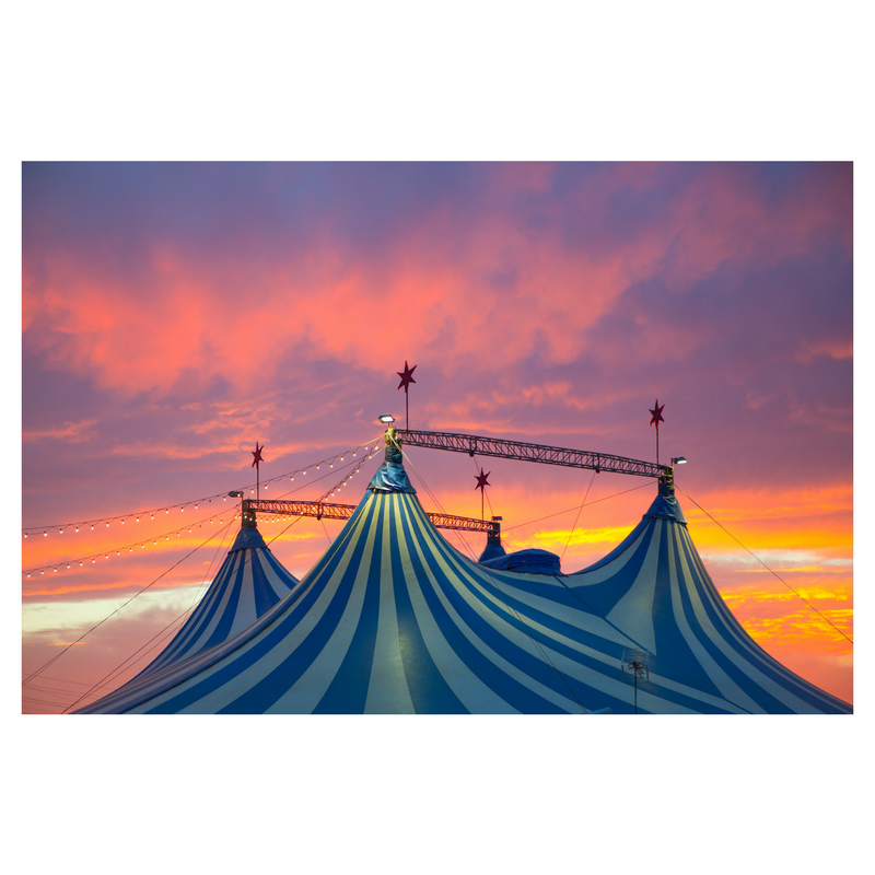 The Moscow Circus