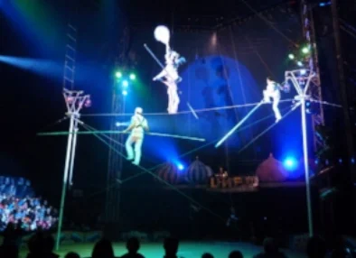 Blog.High Wire Act .jpg