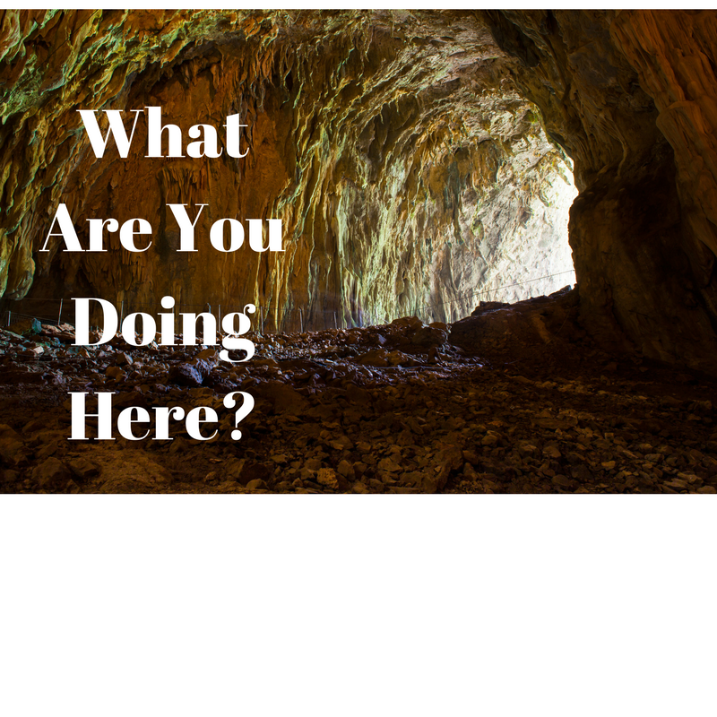 What Are You Doing Here?