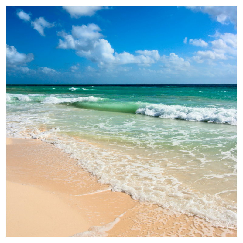Will You Go to the Ocean with Me?