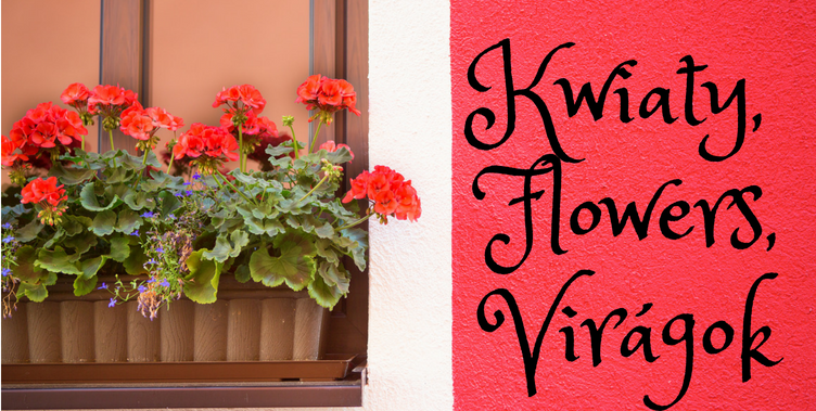 Kwiaty, Flowers, Virágok