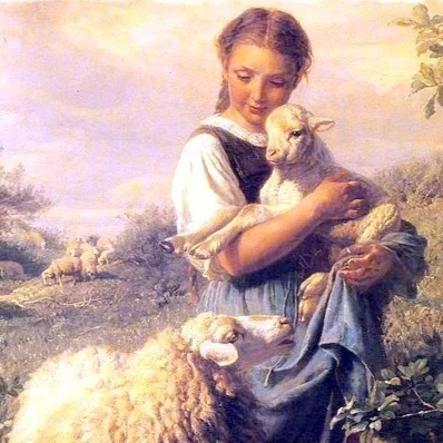 Lessons Learned From My Life with Sheep