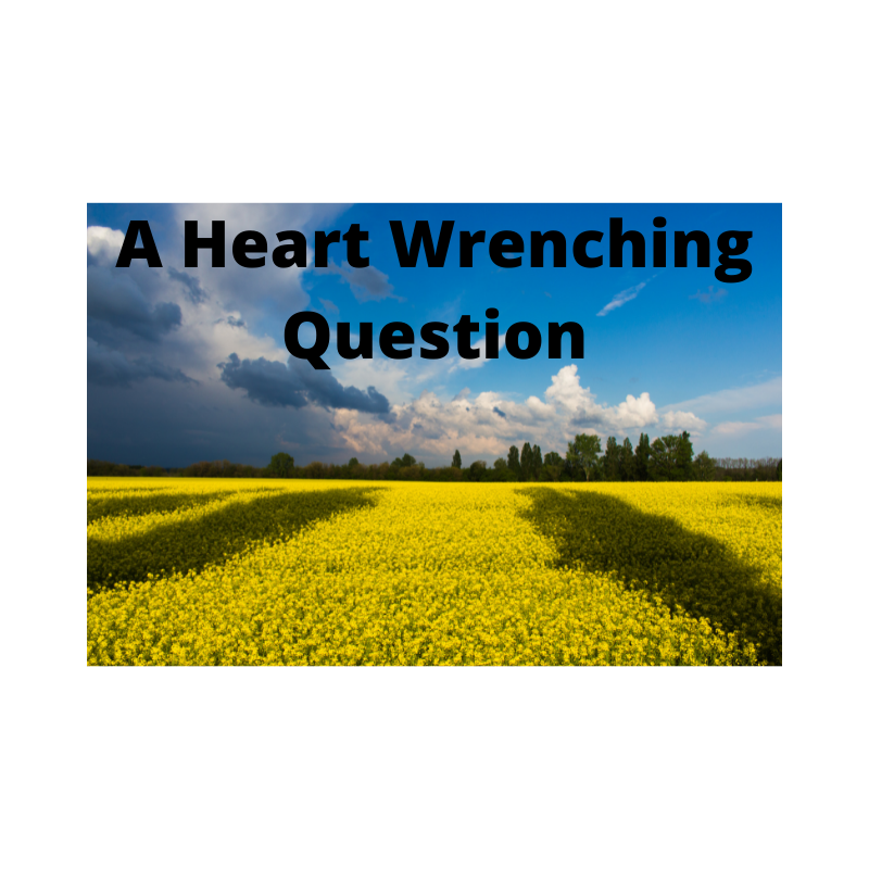 A Heart Wrenching Question