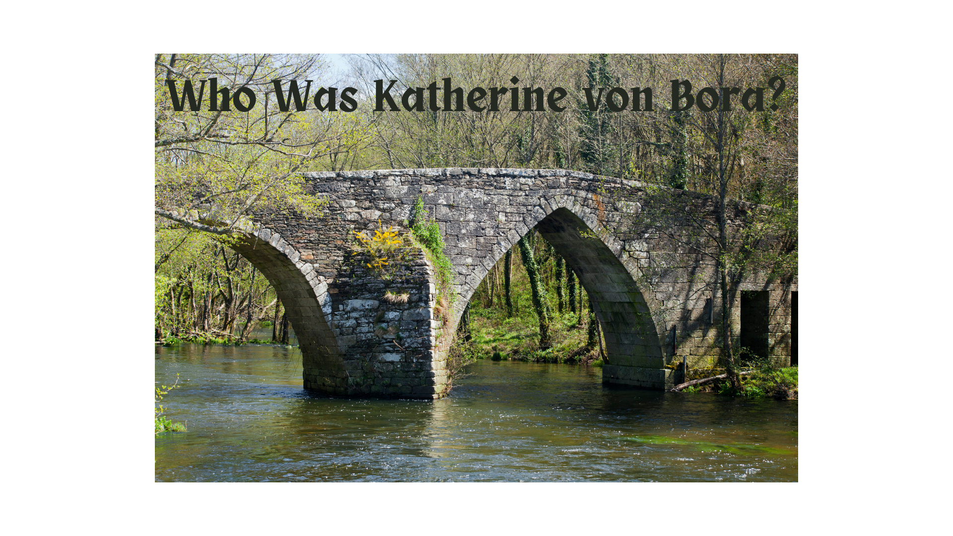 Who Was Katherine von Bora?