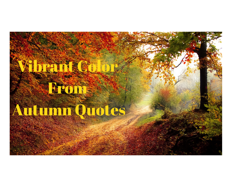 Vibrant Color From Autumn Quotes