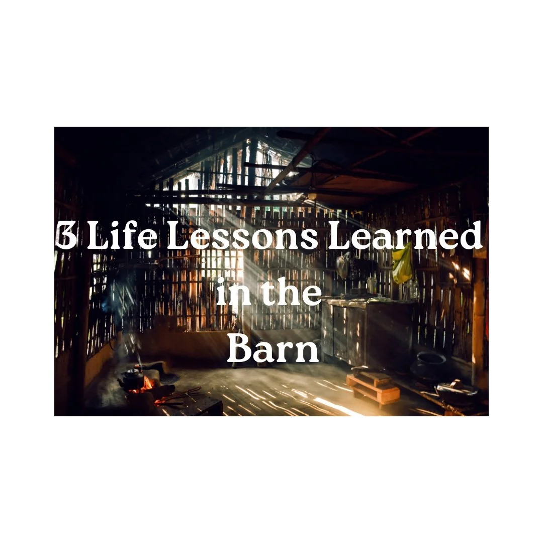 3 Life Lessons Learned in the Barn