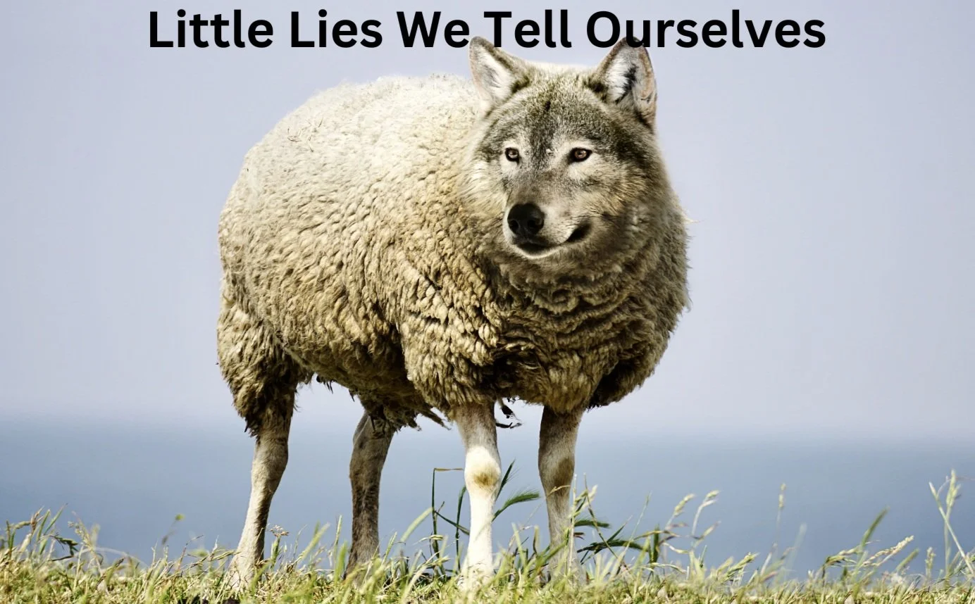 Little Lies We Tell Ourselves