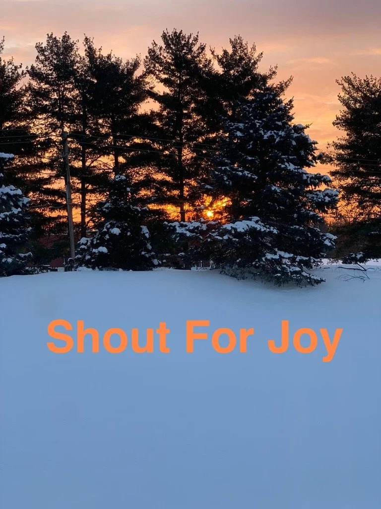 Shout For Joy