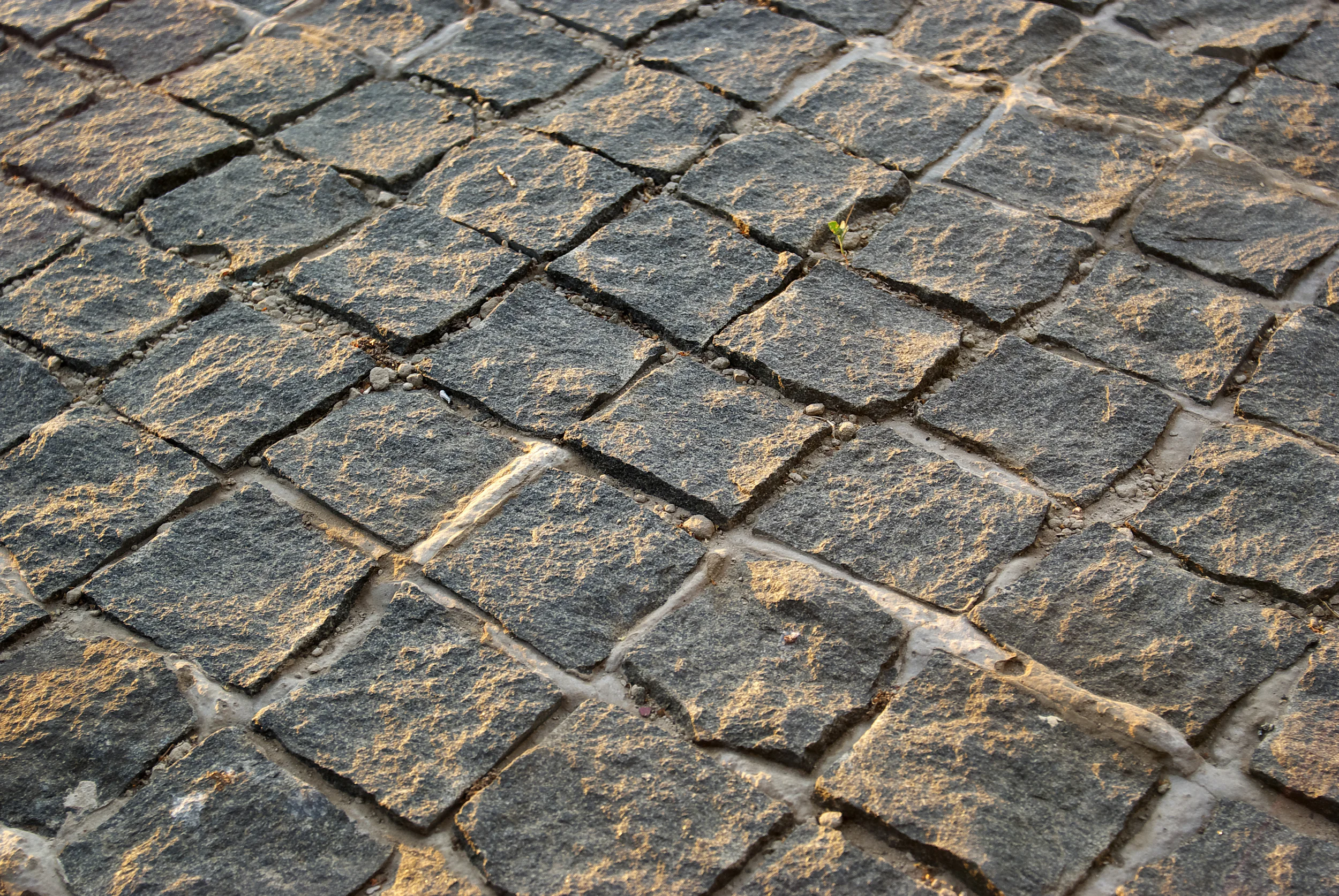 Estate Planning in a Digital World