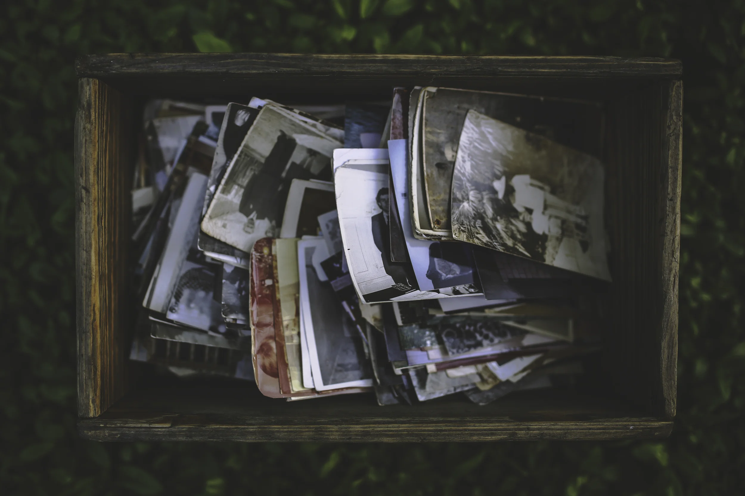 It’s time to start spring cleaning your photographs!