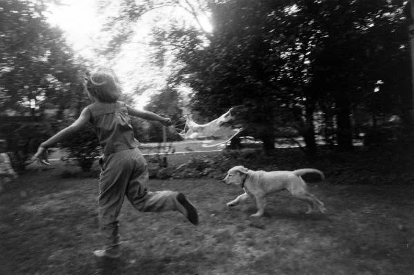 Life Story Links: October 29, 2018