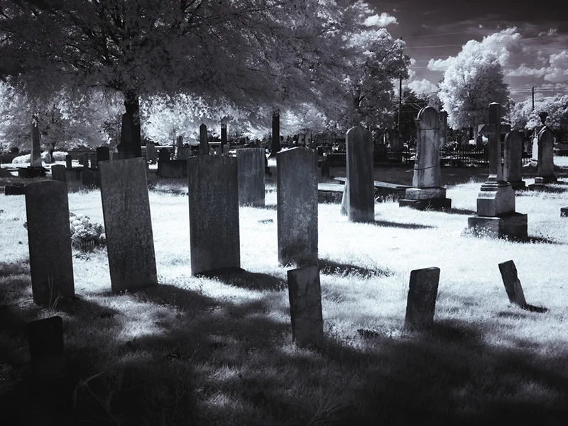 genealogy research at cemetery