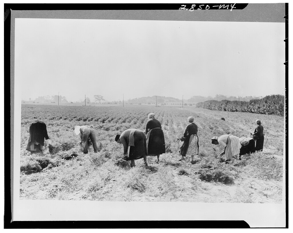 Life Story Links: September 7, 2021