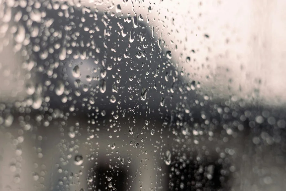 Why we forget—and what it means for memoir writing
