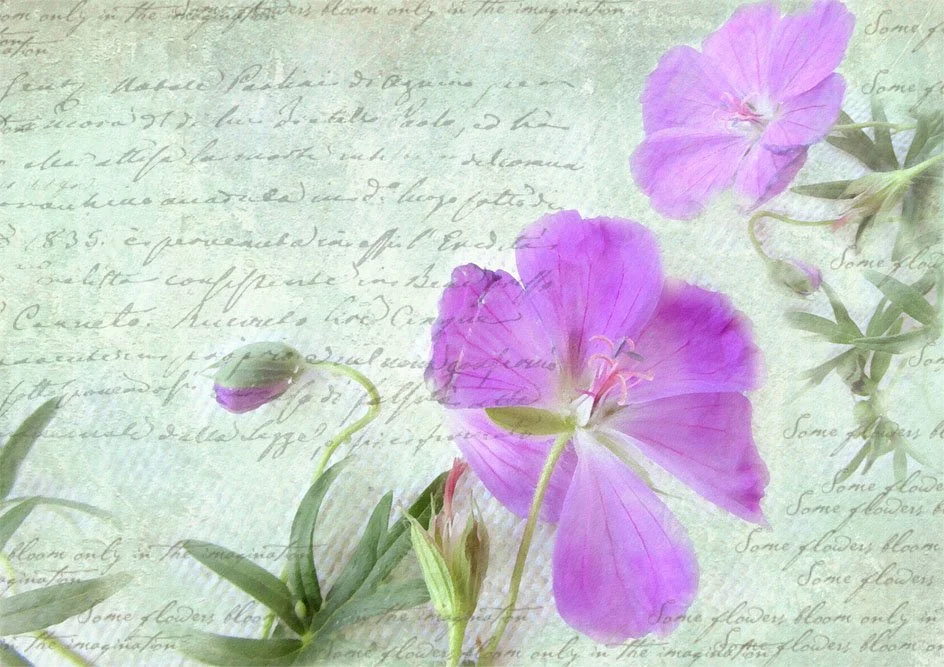 5 inspiring quotes about writing your life