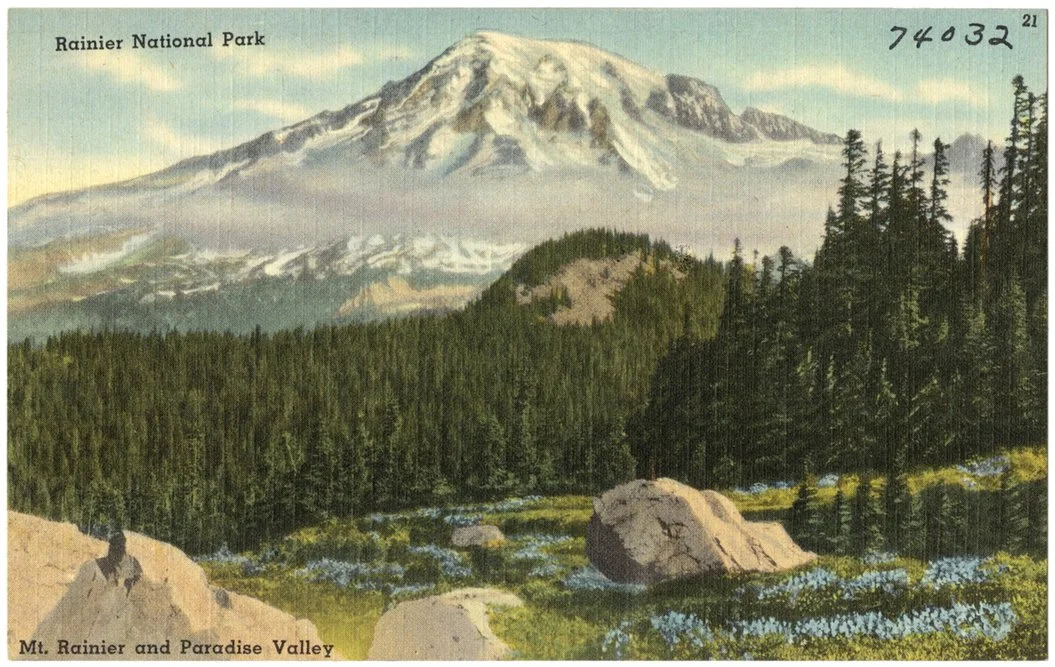 vintage postcard with illustration of snow-covered mountain peak mount rainier national park in washington state